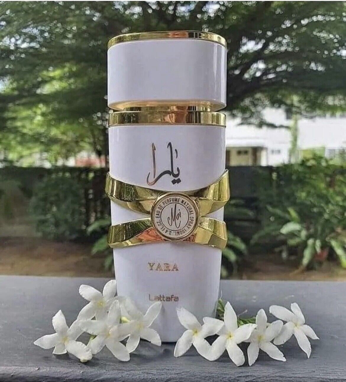 Lattafa Yara Moi Eau de Parfum Spray for Women – 100ml (3.4 oz)